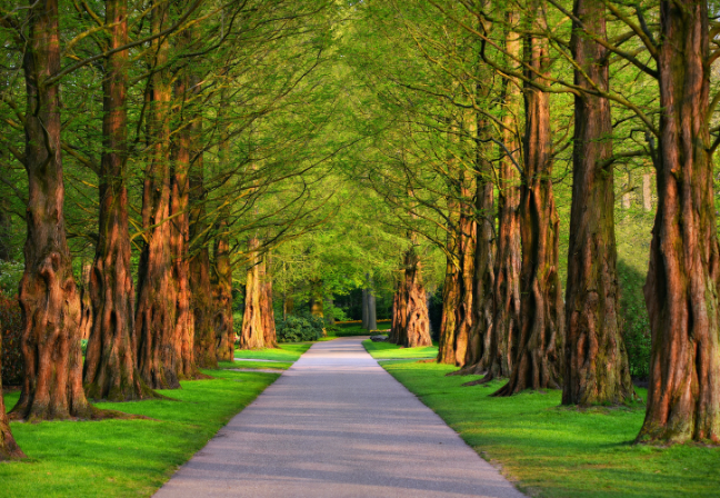 Gated Community